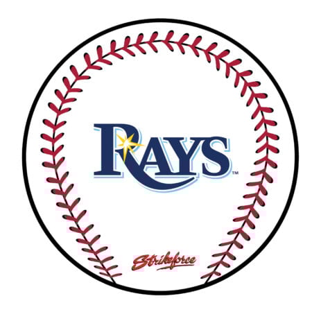 KR Strikeforce MLB Tampa Bay Rays Round Leather Shammy