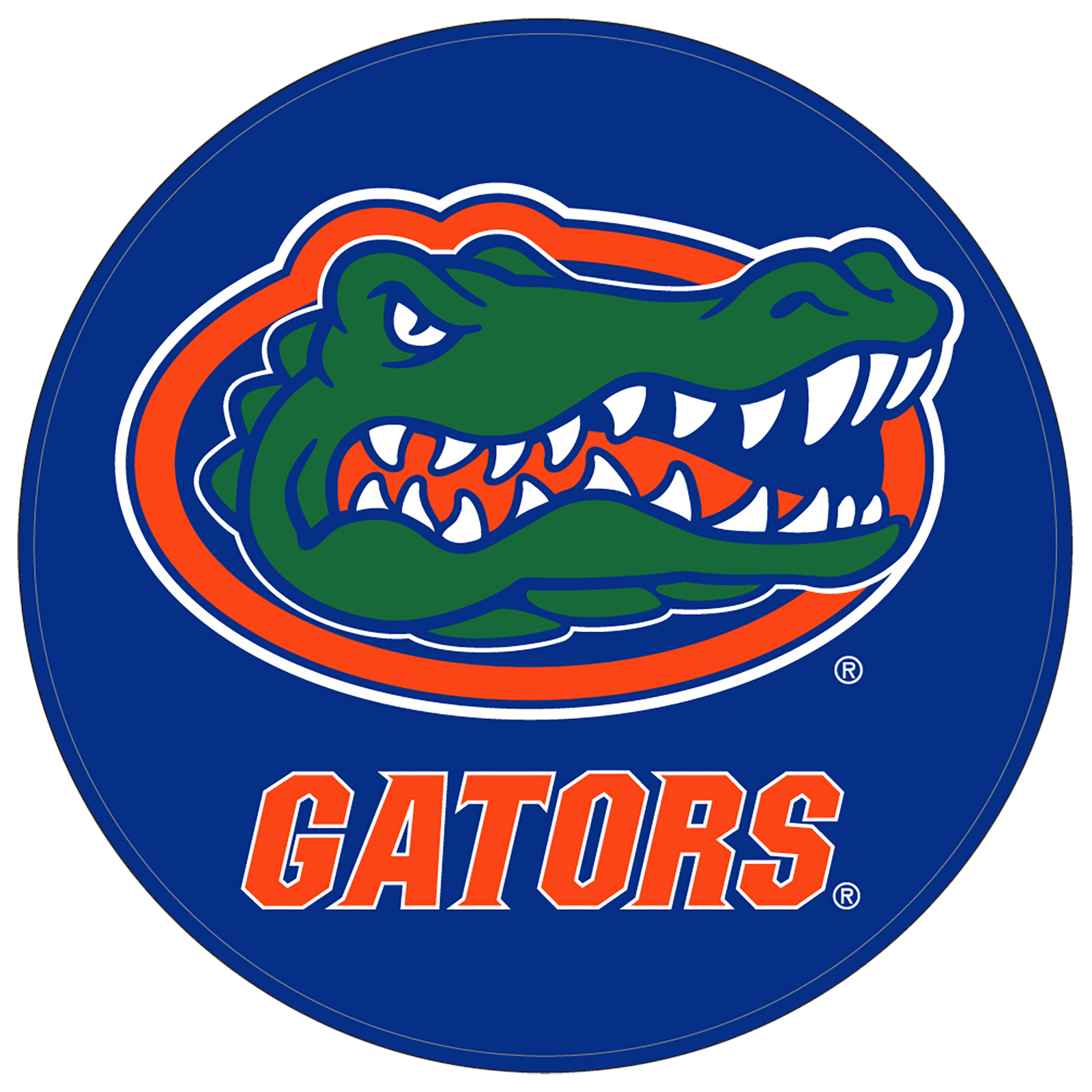 University of Florida Gators Round Leather Shammy