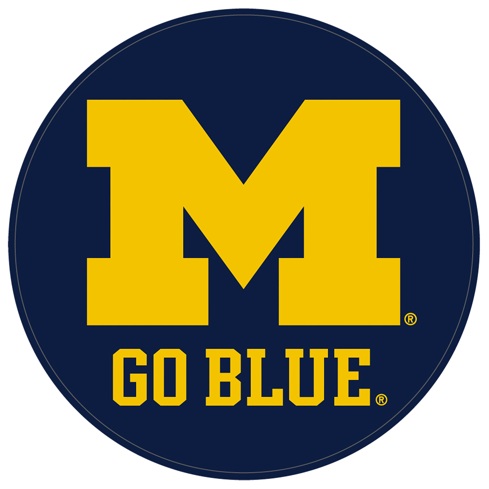 University of Michigan Wolverines Round Leather Shammy