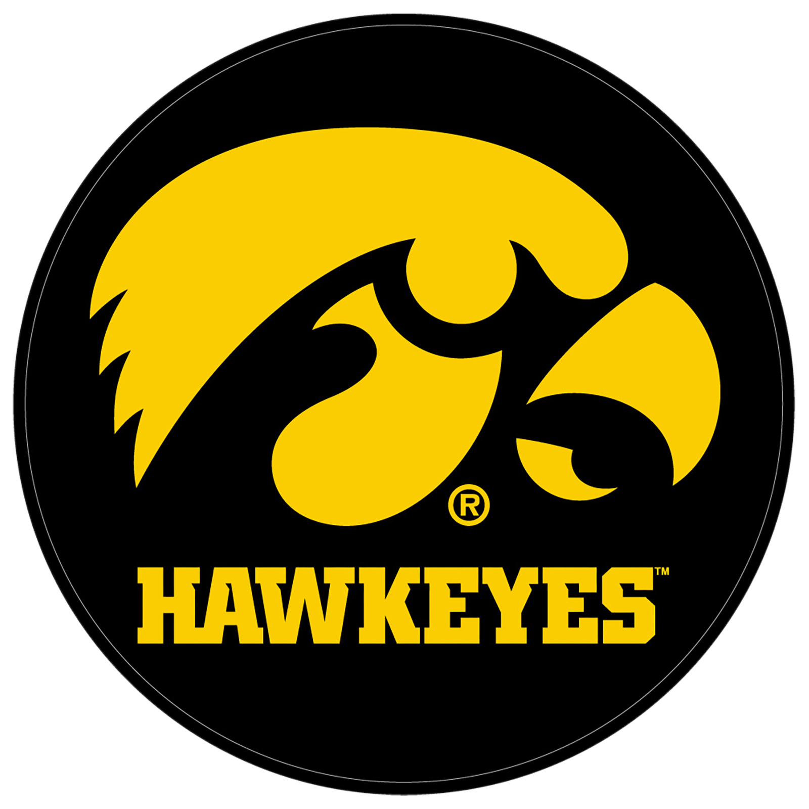 University of Iowa Hawkeyes Round Leather Shammy