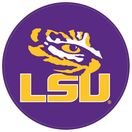 LSU Round Leather Shammy